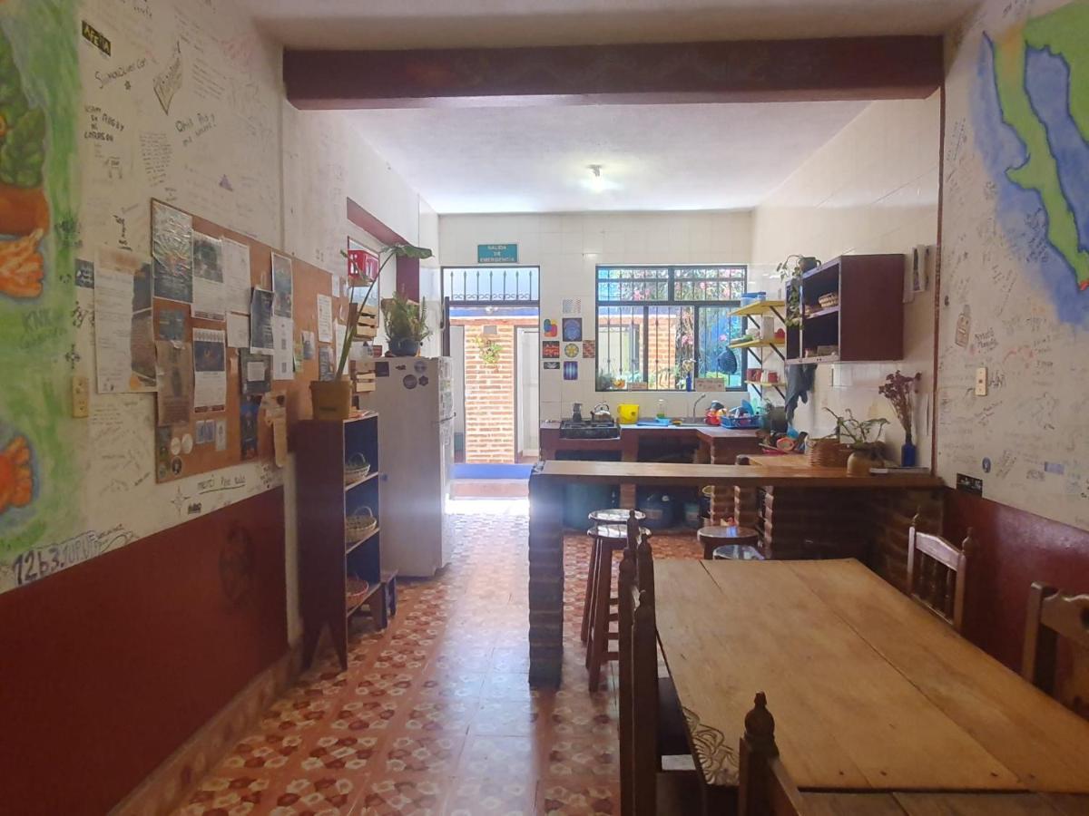San Cristóbal de Las Casas Qhia旅舍 外观 照片